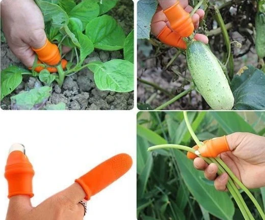 KENPAZAR Pratik Baş Parmak Sebze Kesme Ayıklayıcı Erkek L Set - 5