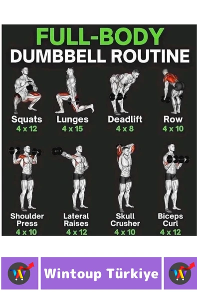 Premium Yüksek Kaliteli Plastik Egzersiz Pilates Isınma Ev Hafif Ağırlık Antrenman 2 x 3 KG Dambıl - 2