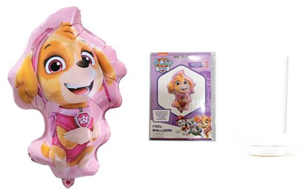 FOLYO BALON PAW PETROL SKYE 26 İNC 4 LÜ SET - 2