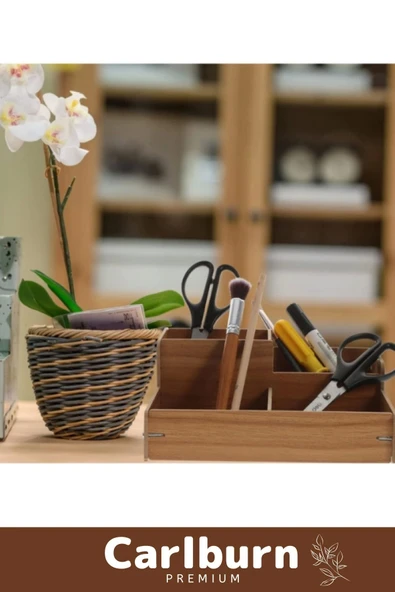 Premium Demonte 4 Gözlü Bölmeli Kırtasiye Kalem Makyaj Malzemesi Ahşap Masaüstü Düzenleyici Kutu - 4