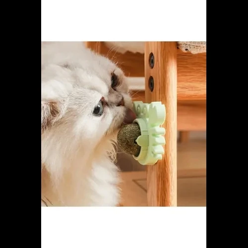 Yengeç Kedi Otu Oyun Topu - Resim 5