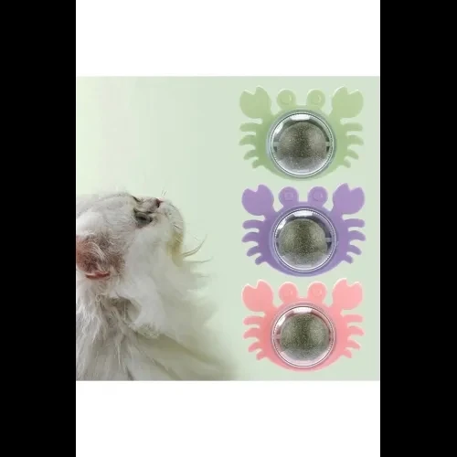 Yengeç Kedi Otu Oyun Topu - Resim 4