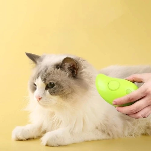 Buharlı Kedi Tarağı - 2