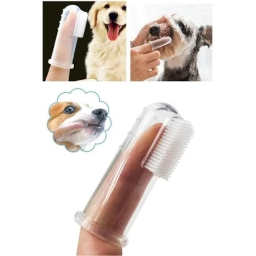 Kedi Köpek Diş Temizleme Fırçası - Resim 2