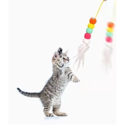 Elastik Yapışkanlı Kedi Oyun Oltası - Resim 5