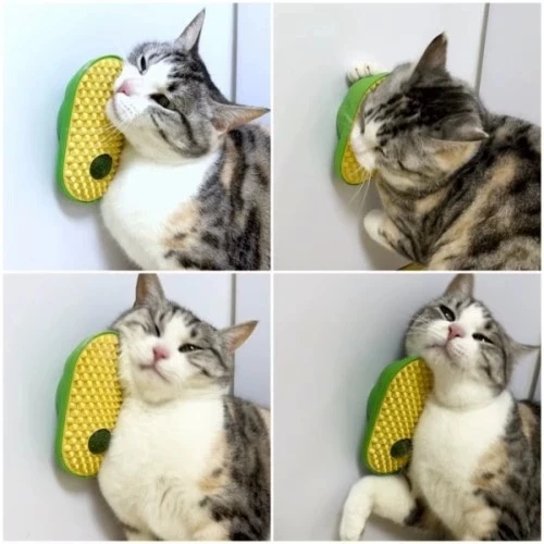 Silikon Kaşıyıcılı Kedi Otu - 4