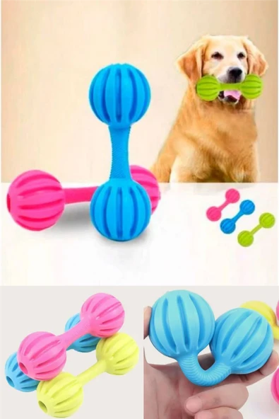 Esnek Yapılı Kemik Tasarım Çıngıraklı Köpek Oyuncağı Dayanıklı Evcil Hayvan Oyun ve Eğitim Oyuncağı ürün görseli 1