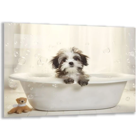 Hayvan Cam Tablo - Sevimli Dostlar Banyoda - Yatay Motif 02-034