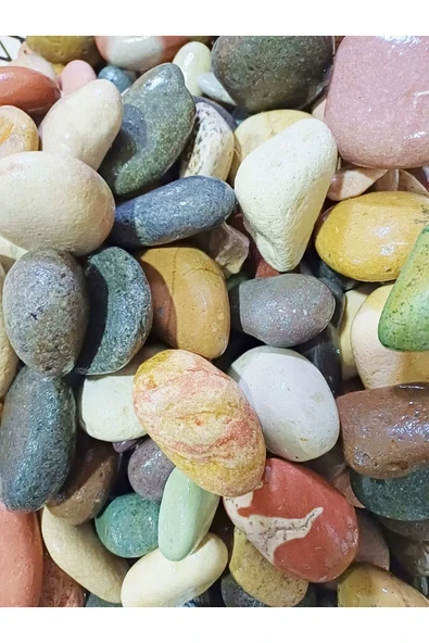2 Kg Çok Amaçlı Dekoratif Büyük Çakıl Taşı - Doğal Deniz Taşı - 5