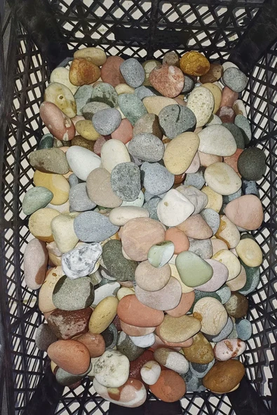 2 Kg Çok Amaçlı Dekoratif Büyük Çakıl Taşı - Doğal Deniz Taşı - 8