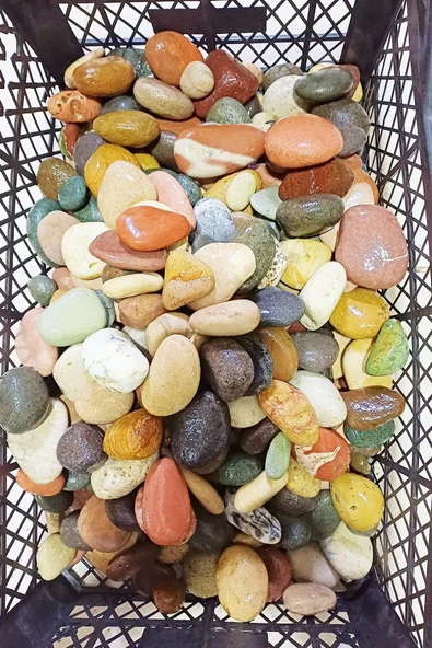 2 Kg Çok Amaçlı Dekoratif Büyük Çakıl Taşı - Doğal Deniz Taşı - 6