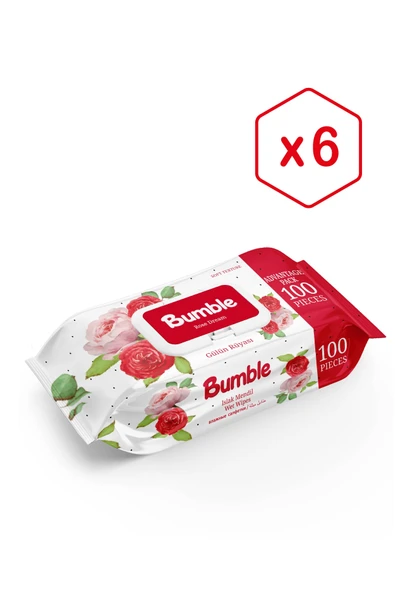 BUMBLE GÜLÜN RÜYASI ISLAK MENDİL 100 YAPRAK 6'LI PAKET