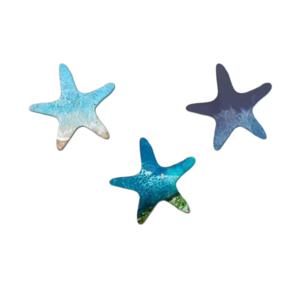 Epoksi Silikon Kalıp Çoklu Deniz Yıldızı Kolye Anahtarlık Küpe Kalıbı 18 Li - 2