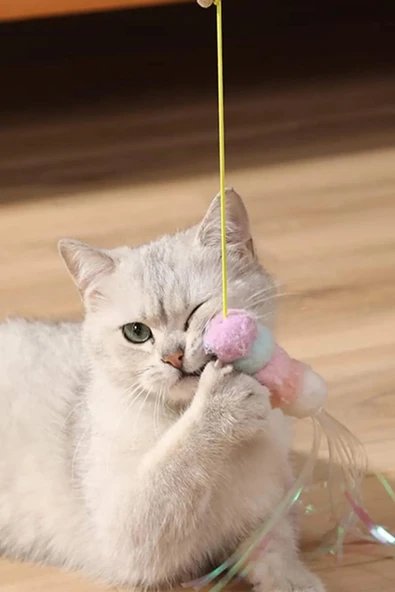 Pribor Tırtıl Kedi Oyuncağı, Kendinden Yapışkanlı, Zilli, Elastik İpli, Asılı Kedi Oyuncağı - 7