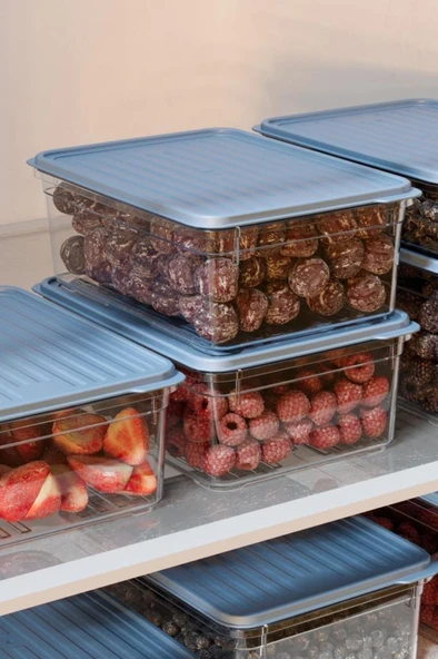 Flora 4'lü Buzdolabı Düzenleyici Set, Buzluk Difriz Derin Dondurucu Buzdolabı Saklama Kabı 4x1100ml - Resim 4