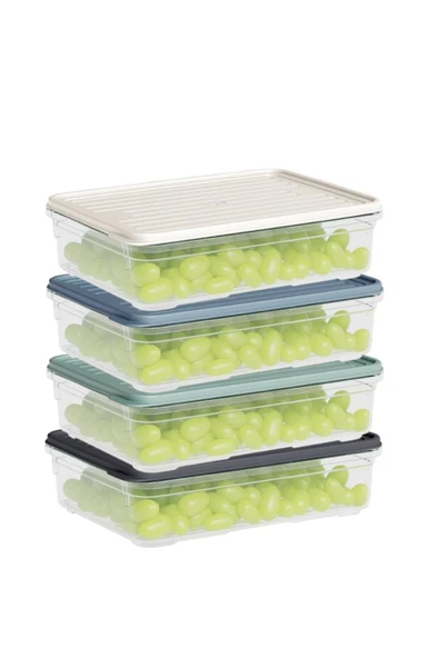 Flora 4'lü Buzdolabı Düzenleyici Set, Buzluk Difriz Derin Dondurucu Buzdolabı Saklama Kabı 4x1100ml - Resim 3