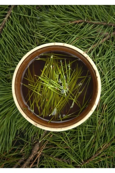 Doğal Yaş Çam Yaprağı Çay Çam Iğnesi Çayı 150 Gr - 3