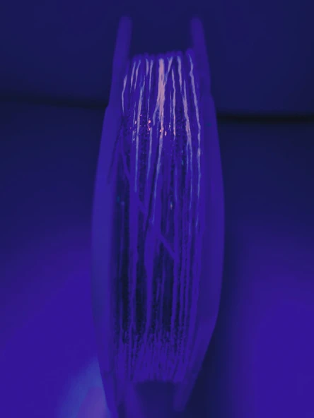 Eagenset Hazır Çapari Kombini Ultraviyole Uv Neon Kristal + Balık Sırtı + Lazer Hologram Makara - 11