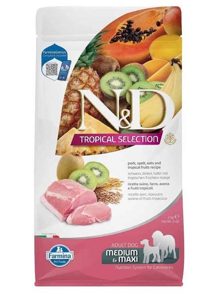 N&D Nd Tropical Selection Düşük Tahıllı Domuz Etli ve Tropikal Meyveli Orta ve Büyük Irk Yetişkin Köpek Maması 2kg
