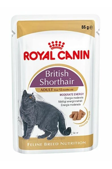 Royal Canin Britisih Shorthair Kedi Konservesi 85 gr
