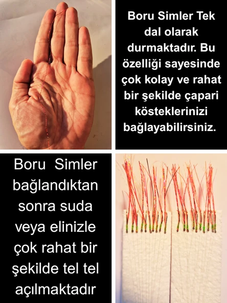 Eagenset Hazır Çapari Kombini Boru Sim Ultraviyole Uv Neon Kırmızı - Fuşya Makara - Resim 4