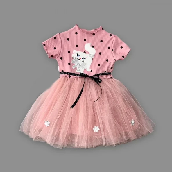 Eterelle 1-2-3 Yaş Payetli Kedicik Baskılı Puantiyeli Kız Bebek Elbisesi Gül Kurusu - 2