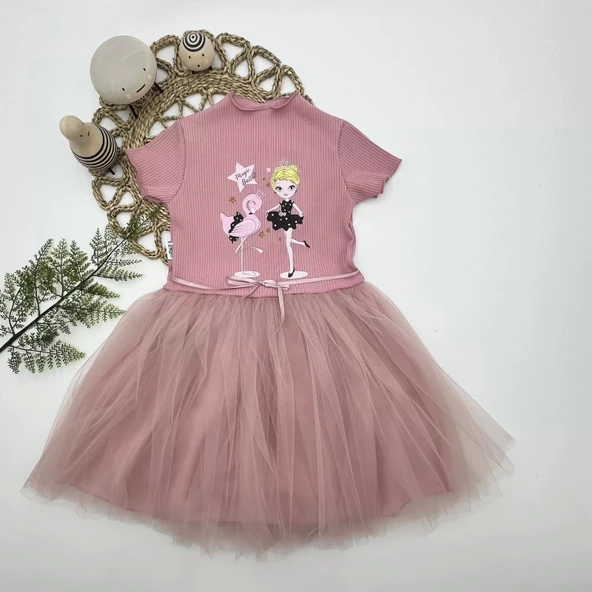 Eterella Flamingo Balerin Kız Baskılı Kurdela Kuşaklı Astarlı Kız Çocuk Tütü Elbise Gül Kurusu