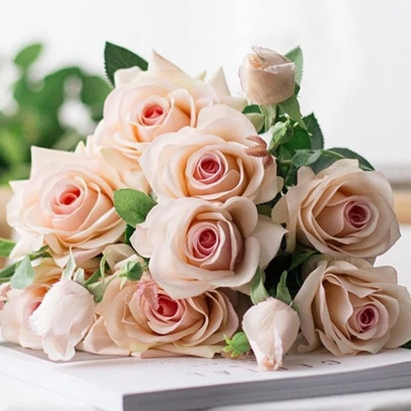 Tüplü Yediveren Cream White Krem Beyazı Kokulu Gül Fidanı ürün görseli