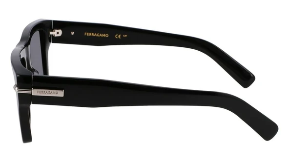 Salvatore Ferragamo SF2033S 001 Unisex Güneş Gözlüğü - Resim 3
