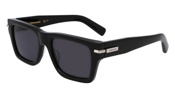 Salvatore Ferragamo SF2033S 001 Unisex Güneş Gözlüğü - Resim 2
