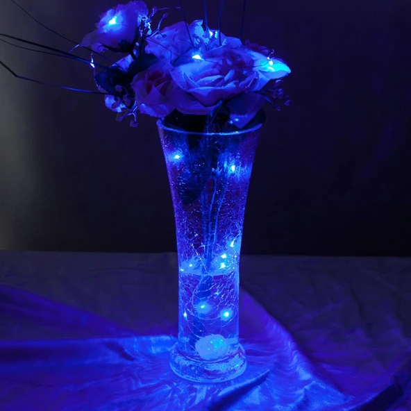 MİKRO PERİ LEDLİ PİLLİ MAVİ LED IŞIK MAVİ PİLLİ IŞIK 10 METRE MAVİ PİLLİ IŞIK MAVİ YILBAŞI AĞACI IŞIĞI MAVİ NOEL AĞACI IŞIĞI - Resim 4