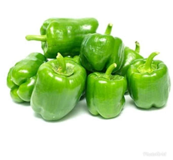 Yerli Dolma Biber Tohumu 10 Gr (Ort 1200 Ad) ürün görseli 1