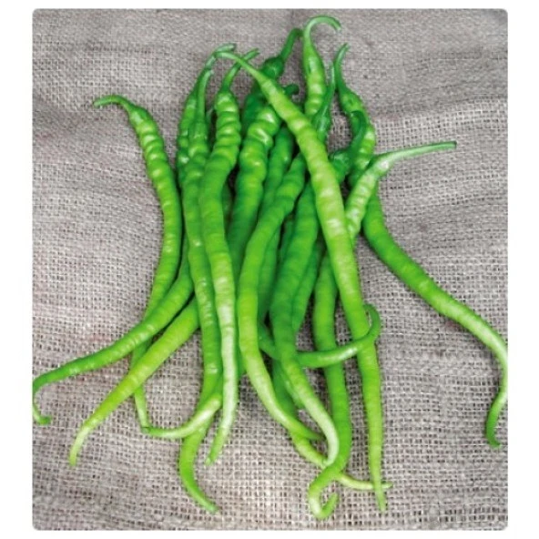 Yerli Kıl Acı Biber Tohumu 10 Gr (Ort 1200 Ad Tohum) ürün görseli 1