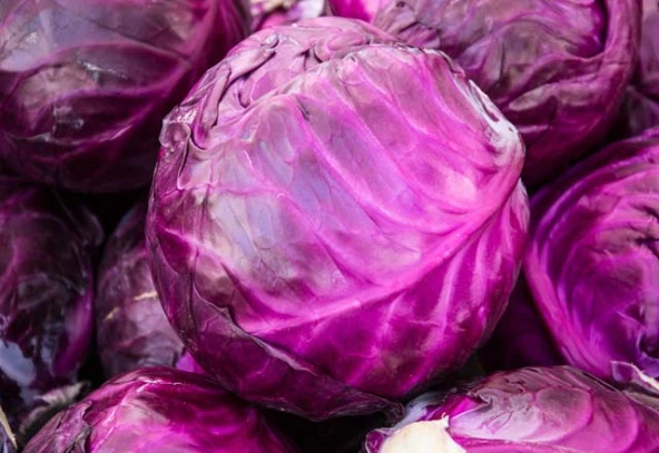 Yerli Kırmızı Mor Lahana Tohumu 10 Gr (Ort 2000 Ad Tohum) ürün görseli 1