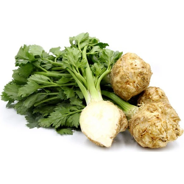 Yerli Kereviz Tohumu - 10 Gr (Ort 2000 Ad Tohum) ürün görseli 1