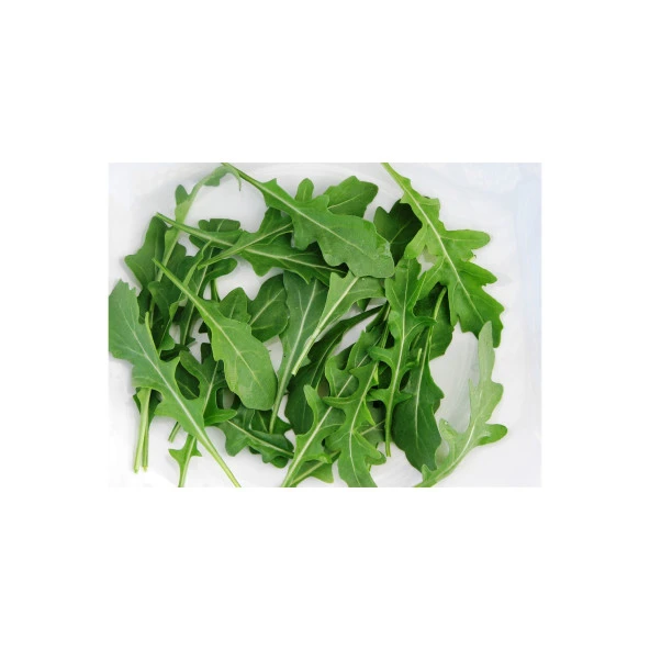 Yerli Roka Tohumu 10 Gr (Ort 3000 Ad Tohum) ürün görseli