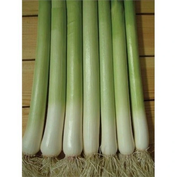 Yerli İnegöl Pırasa Tohumu - 10 Gr (Ort 3000 Ad Tohum) ürün görseli 1