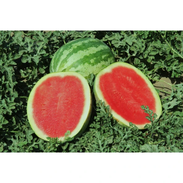 Yerli Karpuz  Tohumu - 10 Gr (Ort 100 Ad Tohum) - 1