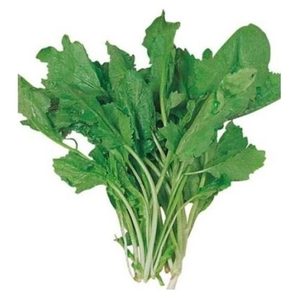 Yerli Tere Tohumu - 10 Gr (Ort 3000 Ad Tohum) ürün görseli