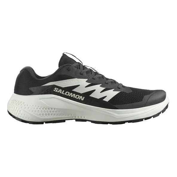 Salomon L47801000 Alphaglide Spor Ayakkabı Siyah