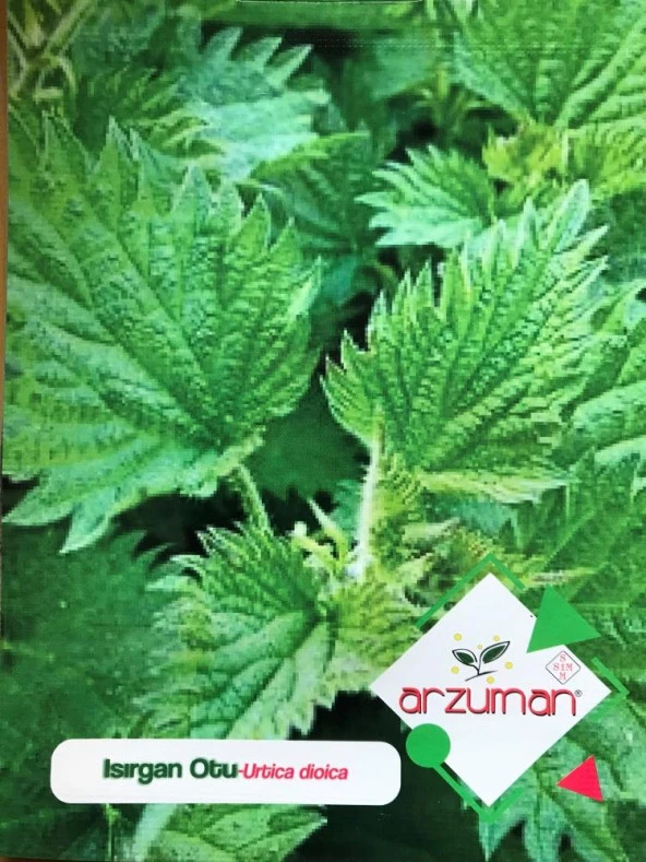 ISIRGAN TOHUMU 100 ADET TOHUM ürün görseli 1