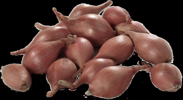 YERLİ ARPACIK SOĞAN 4 NUMARA (500 GR) - Resim 3