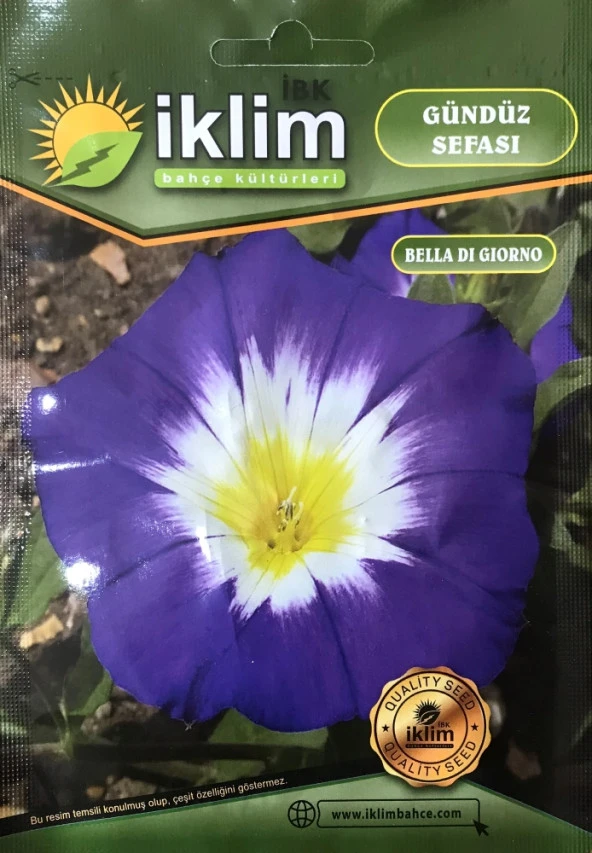 Gündüz Sefası Çiçek Tohumu - Convolvulus Tricolor (~ Takribi 10 Tohum)