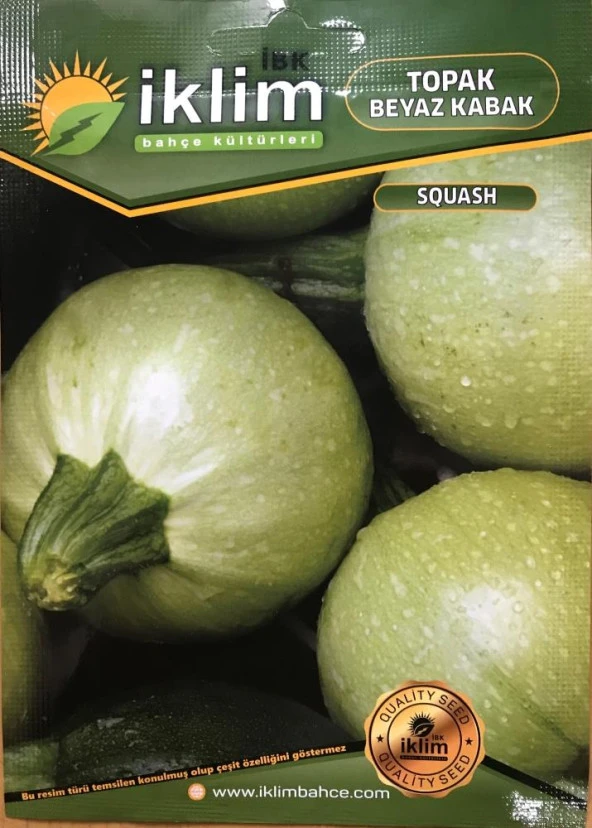 BEYAZ TOPAK KABAK TOHUMU 5 GR ORT 40 AD TOHUM - 1