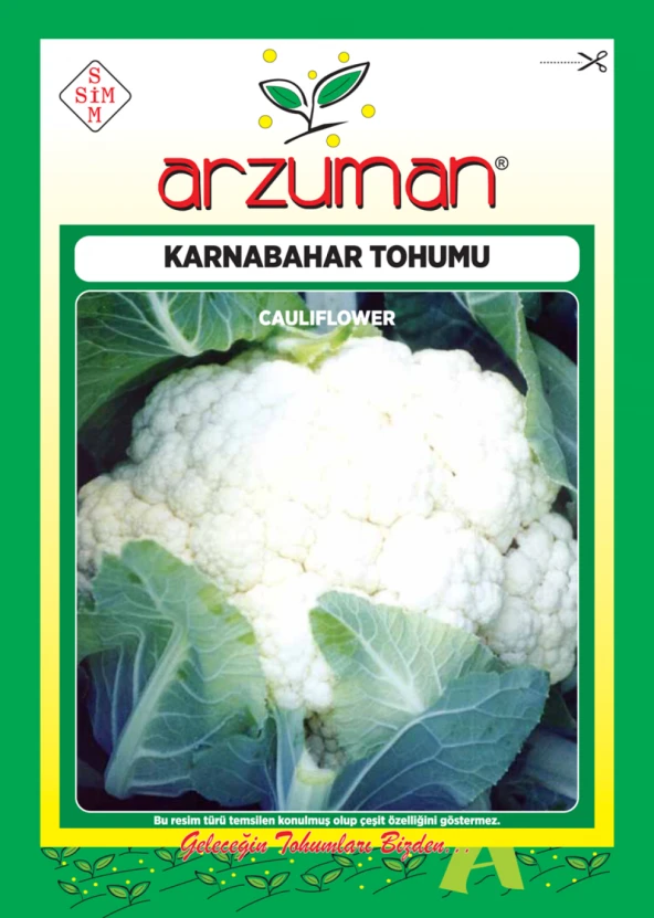 KARNABAHAR TOHUMU 300 AD TOHUM ürün görseli 1