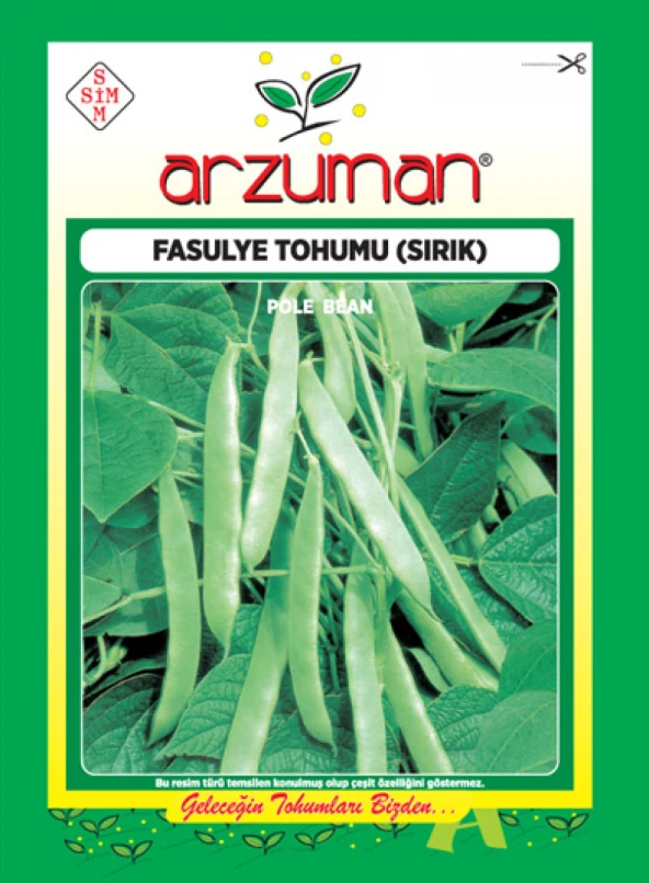 SIRIK FASULYE TOHUMU 50 GR - 1