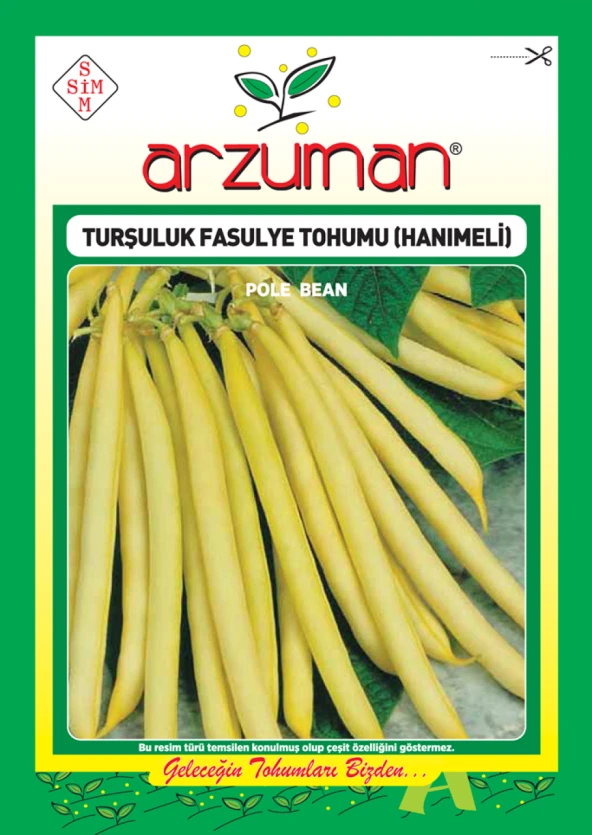 HANIMELİ TURŞULUK OTURAK FASULYE TOHUMU 50 GR - 1