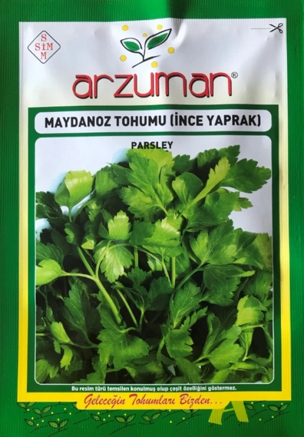 İNCE MAYDANOZ TOHUMU 25 GR ORT 10000 ADET TOHUM ürün görseli 1