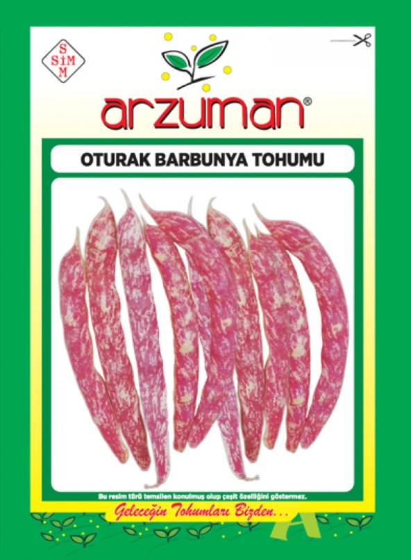 OTURAK BARBUNYA TOHUMU 50 GR - 1