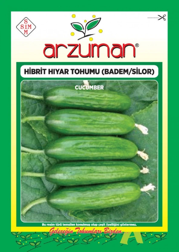 SİLOR-BADEM F1 OTURAK SALATALIK TOHUMU 10 AD TOHUM